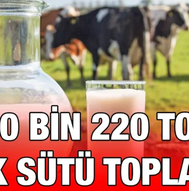 tuik_kriter_haber