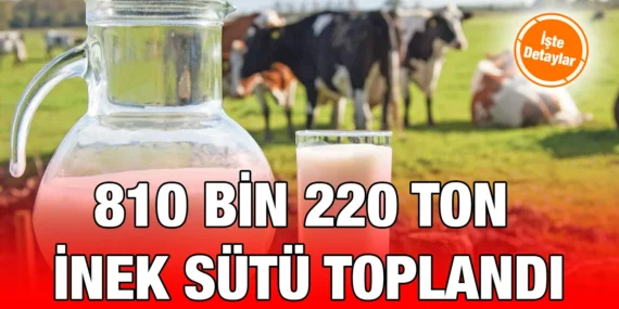 SÜT VE SÜT ÜRÜNLERİ ÜRETİMİ