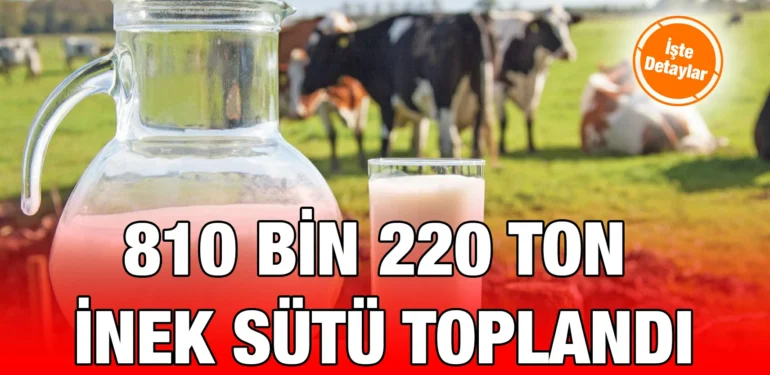 tuik_kriter_haber