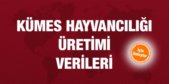 KÜMES HAYVANCILIĞI ÜRETİMİ