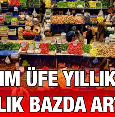 tuik_kriter_haber
