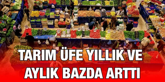 TARIM ÜRÜNLERİ ÜRETİCİ FİYAT ENDEKSİ