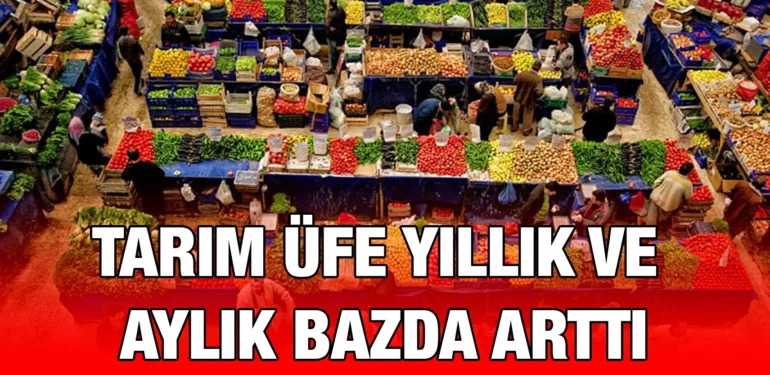 tuik_kriter_haber