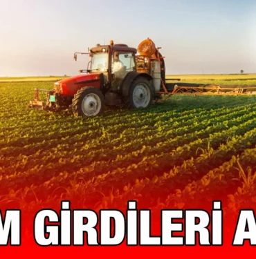 tuik_kriter_haber