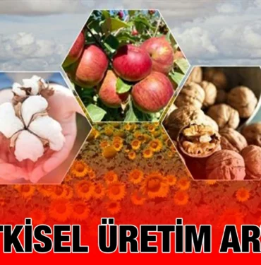 tuik_kriter_haber