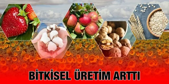 BİTKİSEL ÜRETİM İSTATİSTİKLERİ
