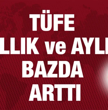 tuik_kriter_haber