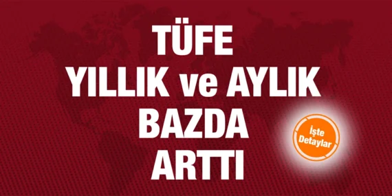TÜKETİCİ FİYAT ENDEKSİ, ARALIK 2023