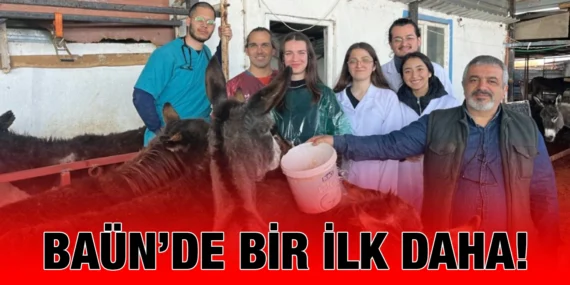 EŞEKLERDE EMBRİYO TRANSFERİ