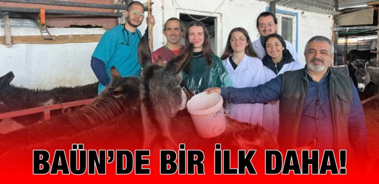baun_kriter_haber