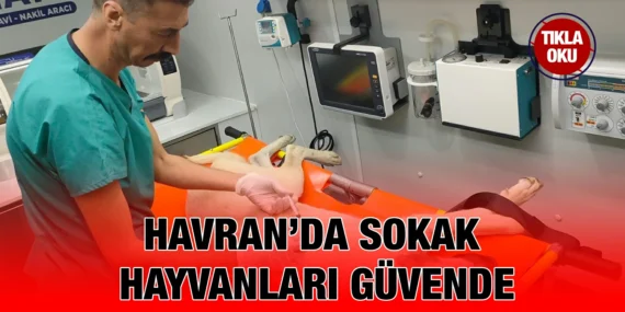 SAĞLIK, ŞEFKAT VE MUTLULUK: HAVRAN CAN DOSTLARIMIZIN YANINDAYIZ