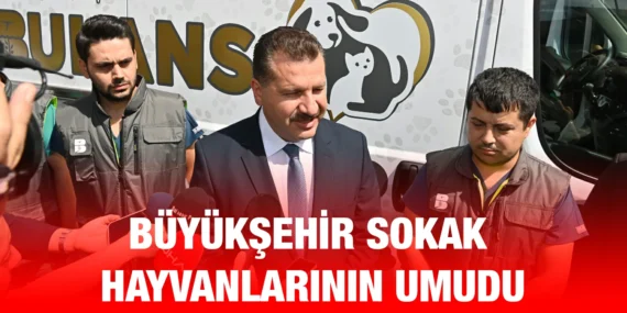 ERDEK’TE BÜYÜKŞEHİR CAN DOSTLARIN 7/24 YANINDA
