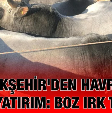 bbb_kriter_haber