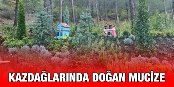 TÜRKİYE’NİN EN BÜYÜK BAL ORMANI EDREMİT’DE