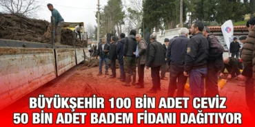 buyuksehir_100_bin_adet_ceviz_50_bin_adet_badem_fidani_dagitiyor_kriter_haber