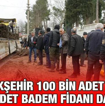 buyuksehir_100_bin_adet_ceviz_50_bin_adet_badem_fidani_dagitiyor_kriter_haber