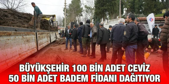 BÜYÜKŞEHİR’İN FİDANLARI ÇİFTÇİYE KATKI OLACAK