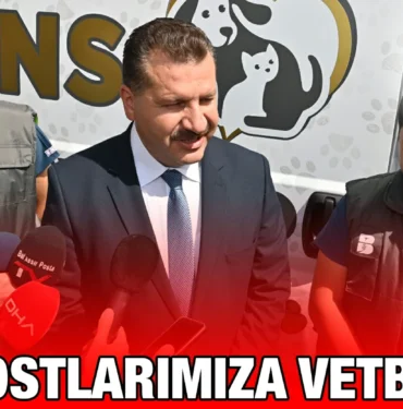 can_dostlarimiza_vetbulans_kriter_haber