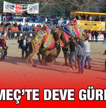 gomec_kriter_haber