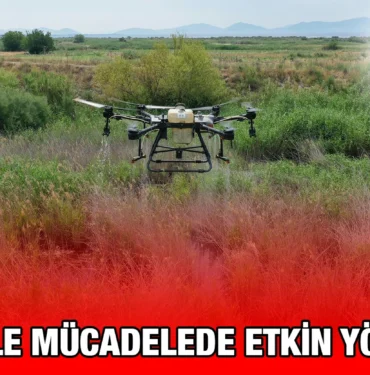 hasere_ile_mucadelede_etkin_yontemler_kriter_haber