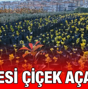 karesi_kriter_haber