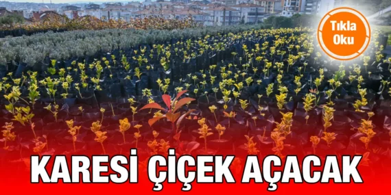 KARESİ BELEDİYESİ KENDİ ÇİÇEKLERİNİ ÜRETİYOR