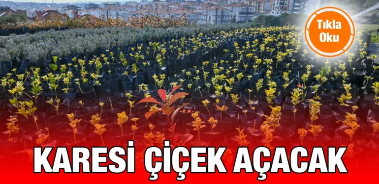 karesi_kriter_haber