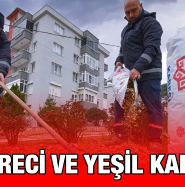 karesi_kriter_haber