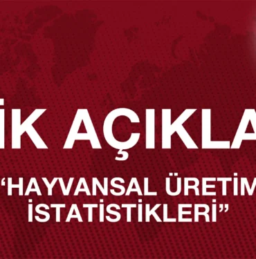tuik_acikladi_hayvansal_uretim_istatistikleri_kriter_haber