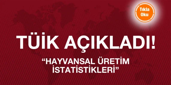 HAYVANSAL ÜRETİM İSTATİSTİKLERİ 2023