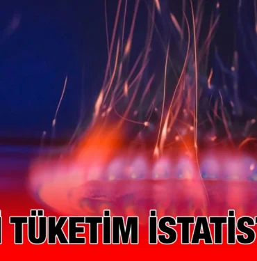 tuik_kriter_haber