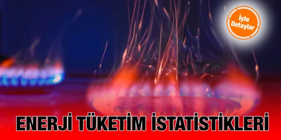 HANEHALKI NİHAİ ENERJİ TÜKETİM İSTATİSTİKLERİ