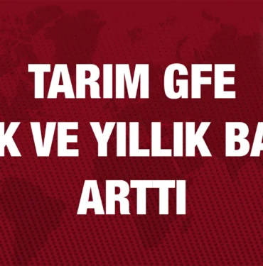 tuik_kriter_haber