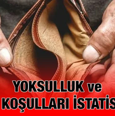 tuik_kriter_haber