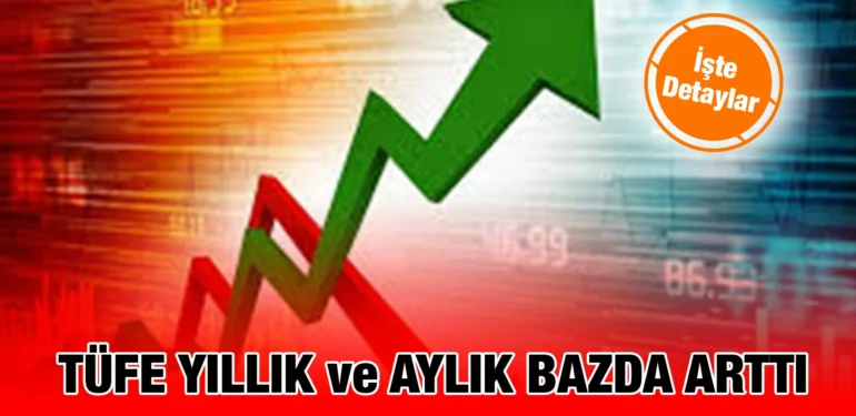 tuik_kriter_haber