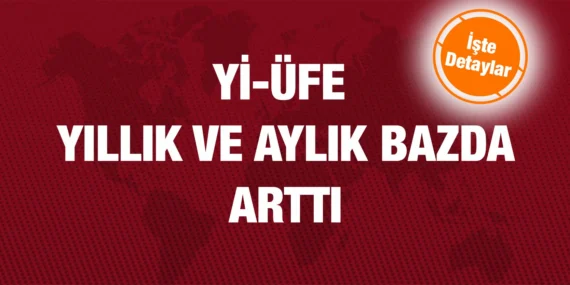 YURT İÇİ ÜRETİCİ FİYAT ENDEKSİ OCAK 2024