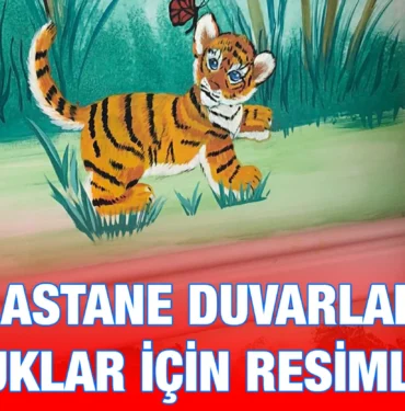 baun_kriter_haber