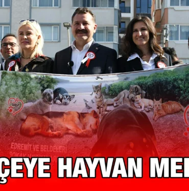 bbb_kriter_haber
