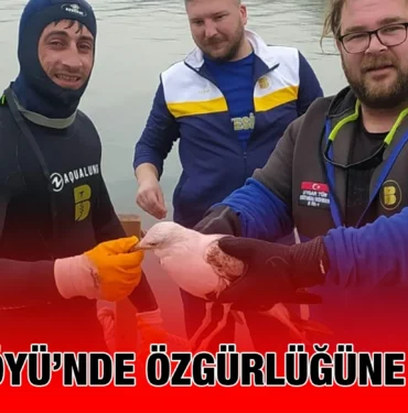 bbb_kriter_haber
