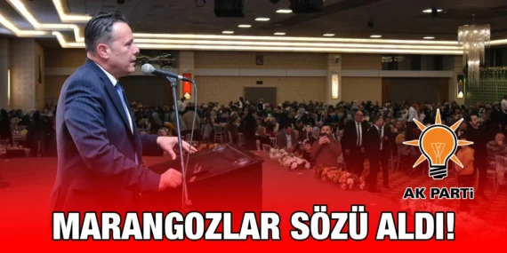MESUT ERAY DOLU DİZGİN