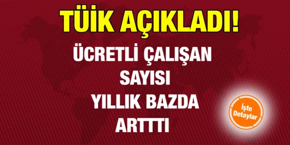 ÜCRETLİ ÇALIŞAN İSTATİSTİKLERİ OCAK 2024