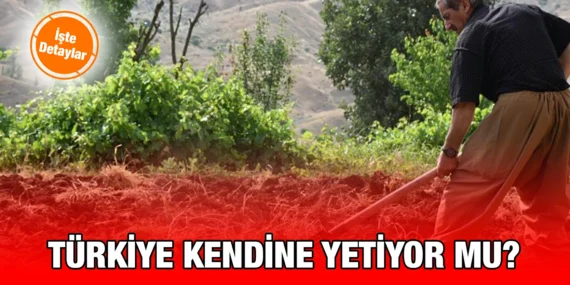 BİTKİSEL ÜRÜN DENGE TABLOLARI