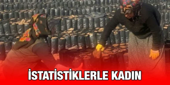 İSTATİSTİKLERLE KADIN