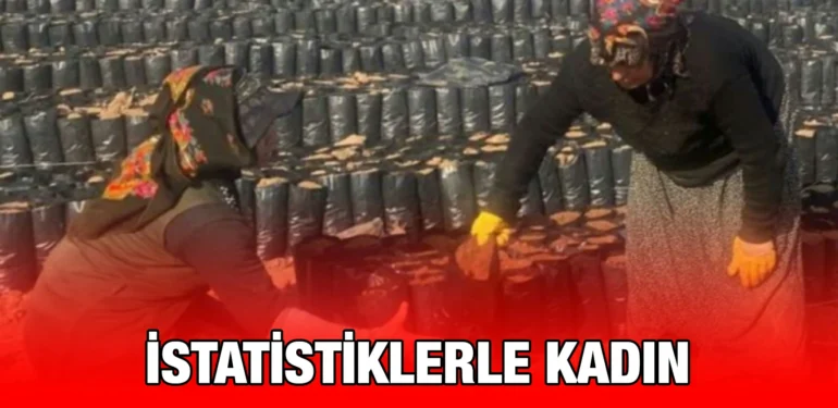 tuik_kriter_haber