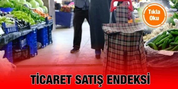TİCARET SATIŞ HACİM ENDEKSİ OCAK 2024