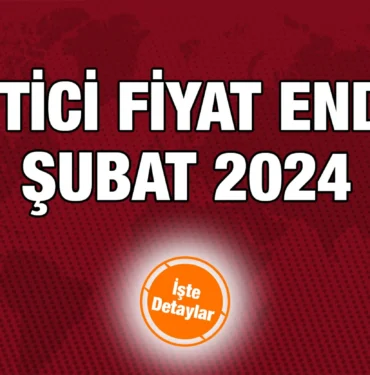tuketici_fiyat_endeksi_subat_2024_kriter_haber