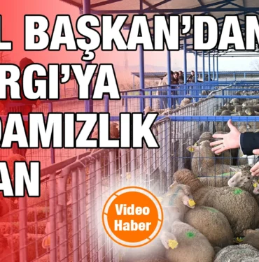 yucel_baskanda_sindirgiya_550_damizlik_hayvan_kriter_haber