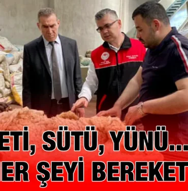 bk_kriter_haber