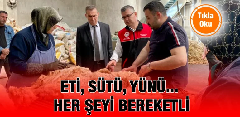bk_kriter_haber