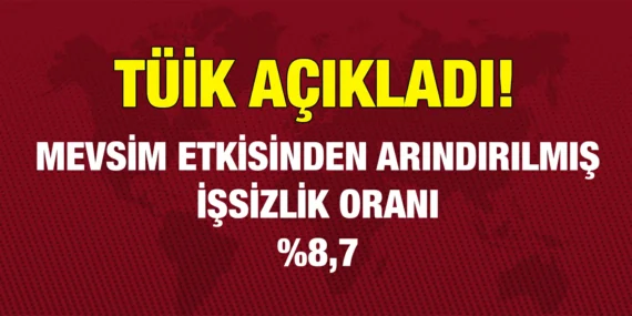 ŞUBAT 2024 İŞGÜCÜ İSTATİSTİKLERİ